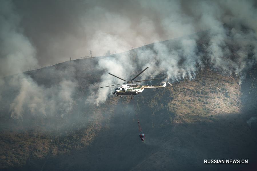 В Грузии продолжают бороться с лесным пожаром