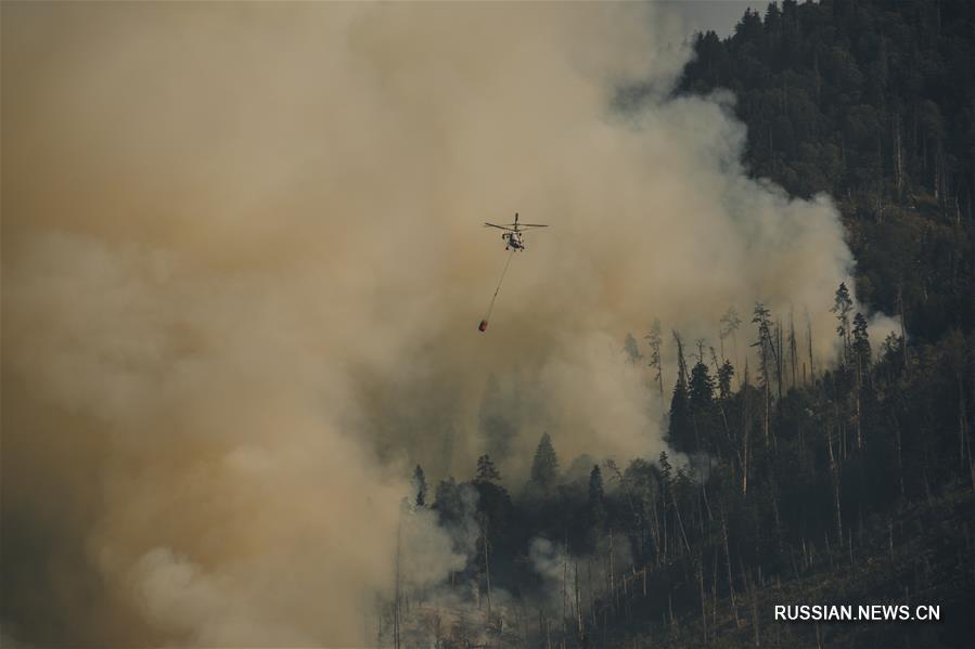В Грузии продолжают бороться с лесным пожаром