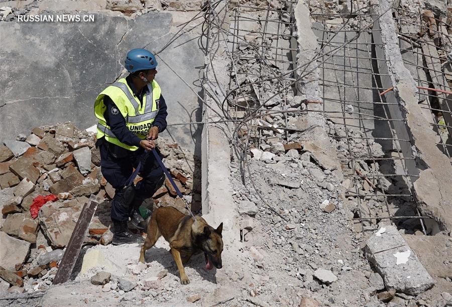 До 58 человек возросло число жертв землетрясения в Мексике