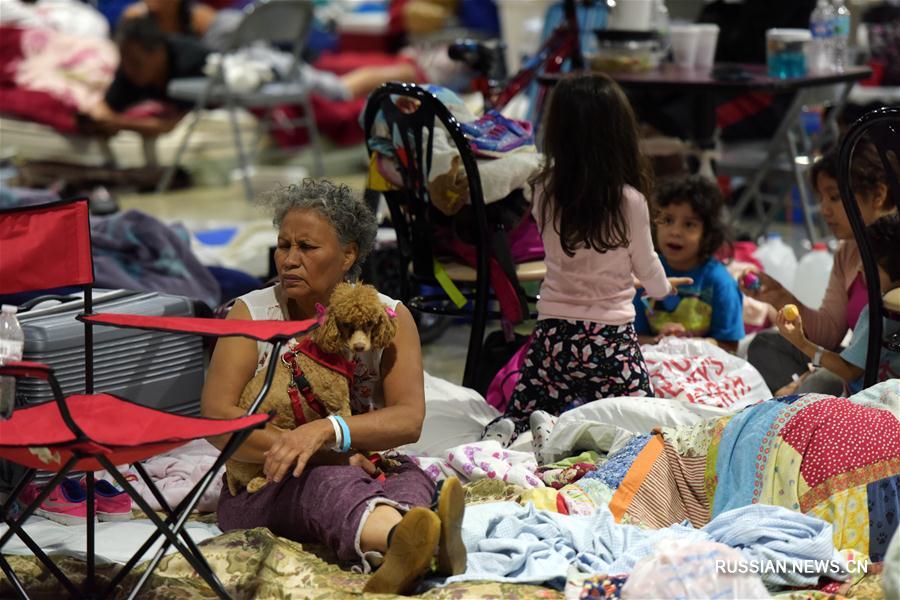 В 320 убежищах Флориды от урагана "Ирма" укрылись 75 тыс. человек