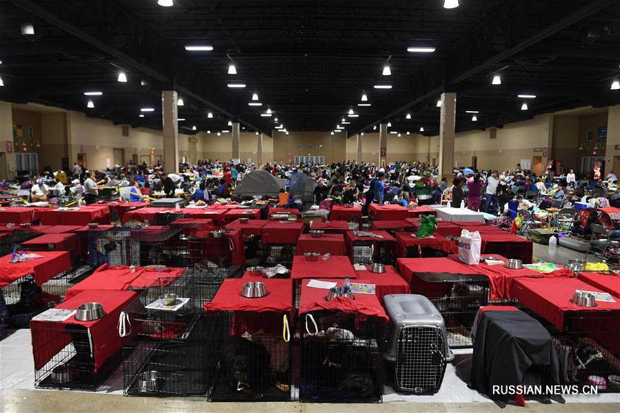 В 320 убежищах Флориды от урагана "Ирма" укрылись 75 тыс. человек