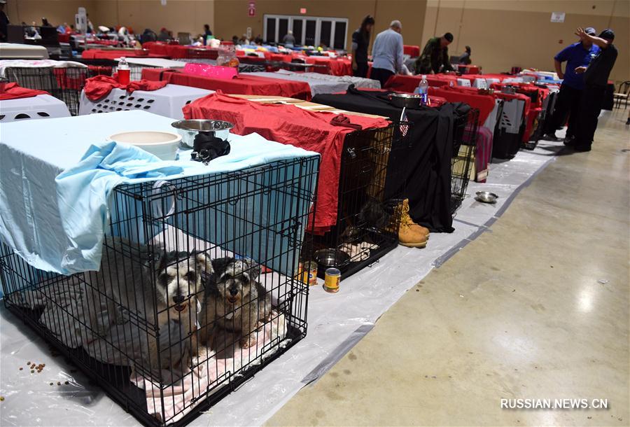 В 320 убежищах Флориды от урагана "Ирма" укрылись 75 тыс. человек