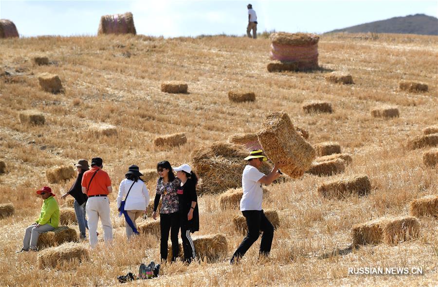 Золотые пшеничные поля в ландшафтном парке Джанбулак