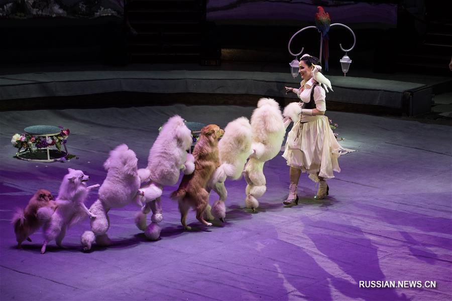 Гала-концерт в рамках Всемирного фестиваля циркового искусства "Идол" в Москве
