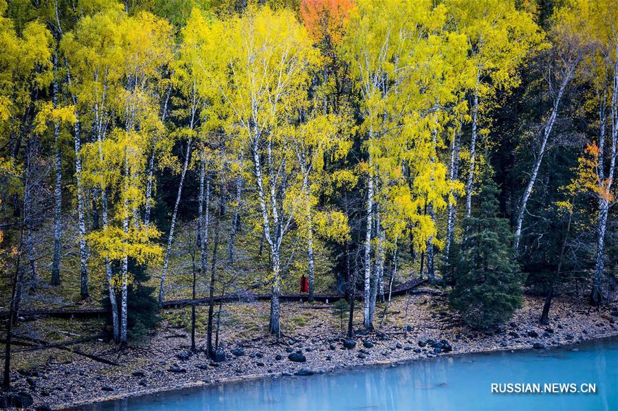 Осень на берегах заповедного озера в Синьцзяне