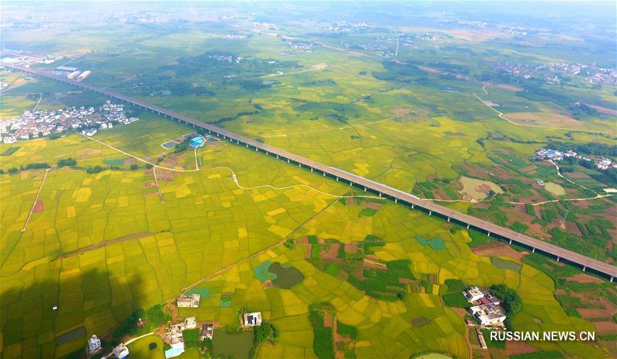 Высокоскоростные железные дороги через "пейзажную галерею" Гуанси