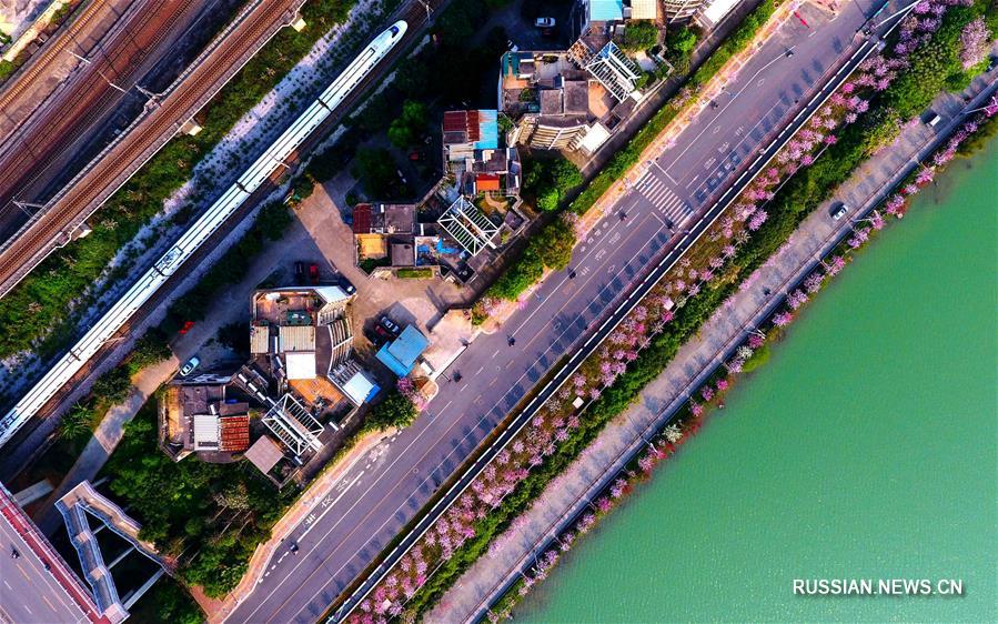 Высокоскоростные железные дороги через "пейзажную галерею" Гуанси