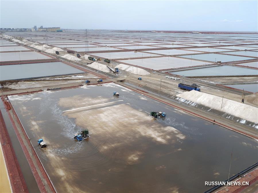Добыча соли в Биньчжоу