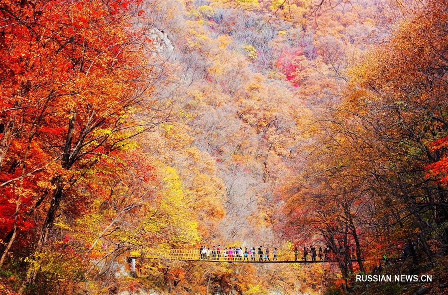 Осенние краски Китая