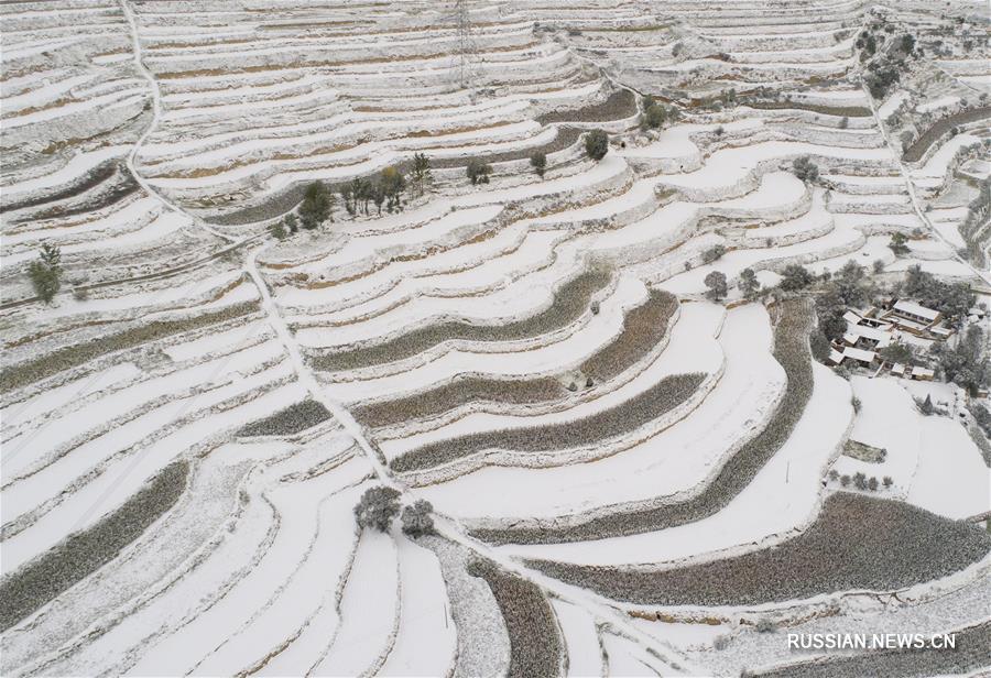 В провинции Ганьсу выпал снег