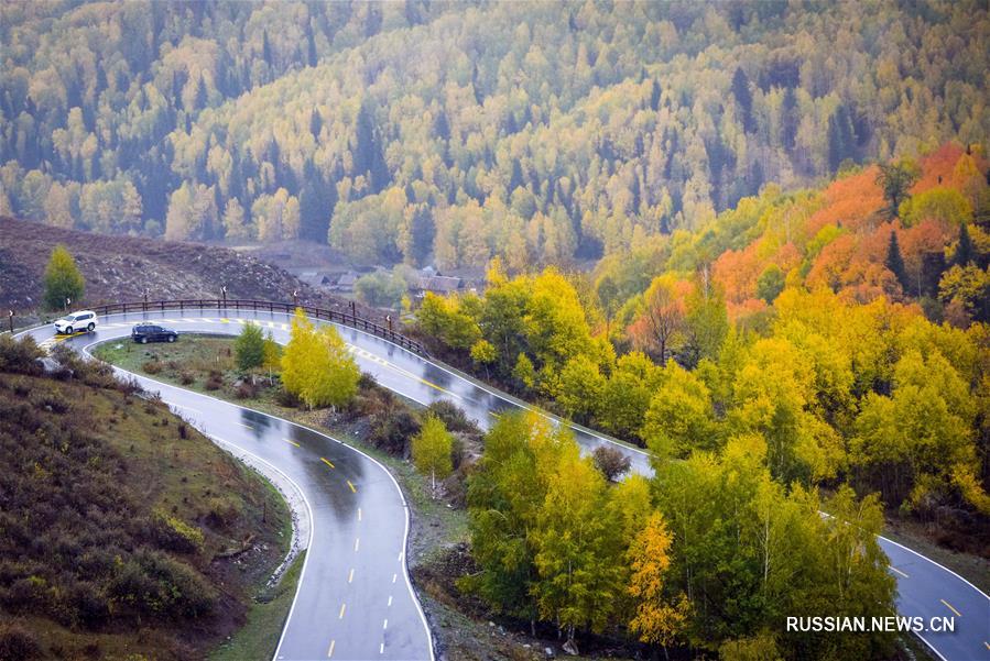 Осень в ландшафтном парке Канас на северо-западе Китая