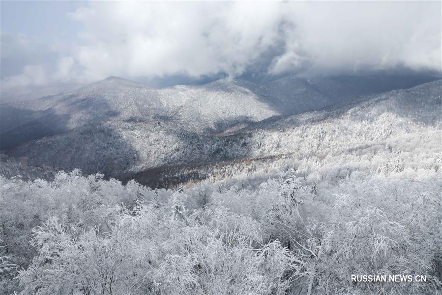 Снегопад на северо-востоке Китая