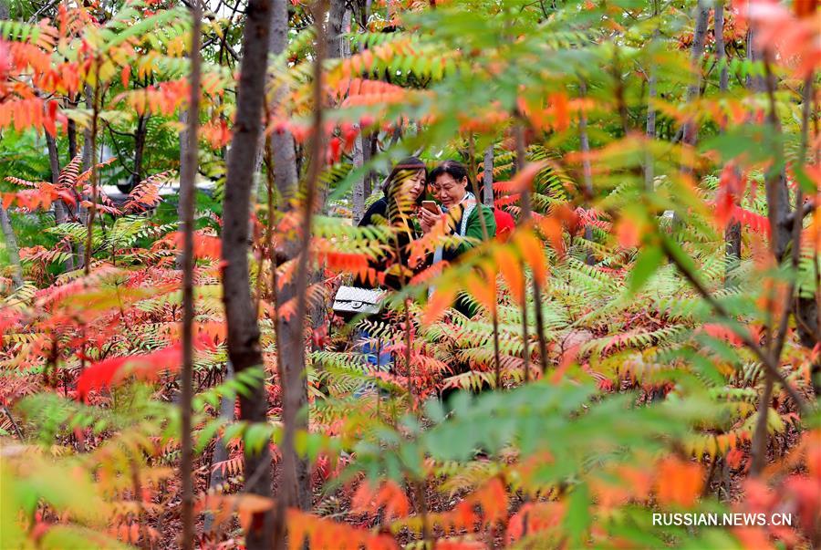 Осенний парк в Таншане