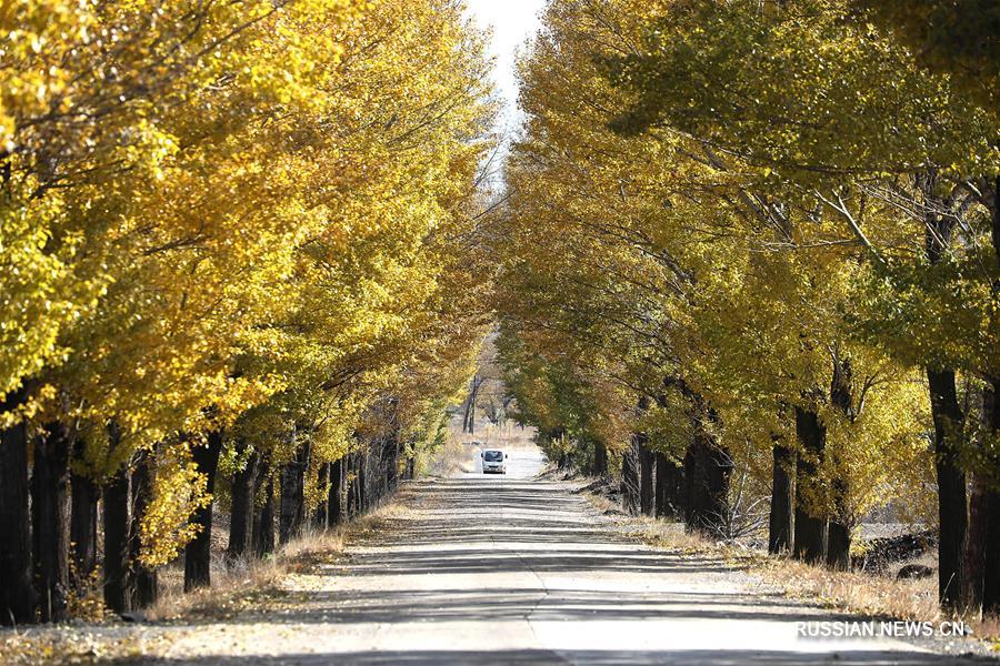 Осенние краски степи Башан