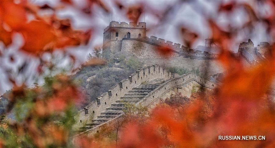 Разноцветные листья у участка Бадалин Великой Китайской стены