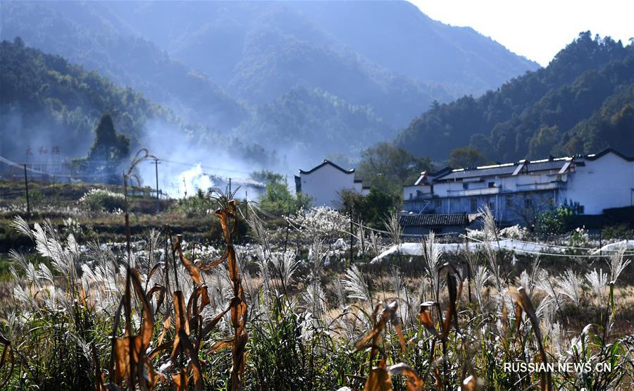 Живописные деревни уезда Цзиньчжай на востоке Китая