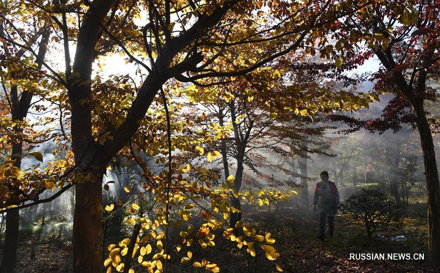 Живописные деревни уезда Цзиньчжай на востоке Китая