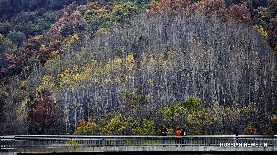 Осенние пейзажи пекинского ландшафтного парка Юйдушань