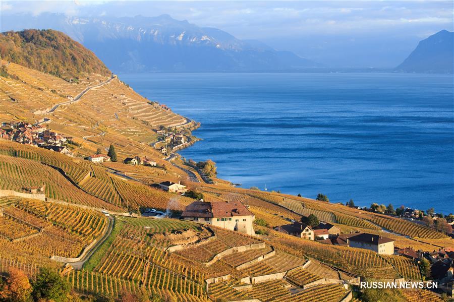Чарующие пейзажи террасных виноградников Лаво в Швейцарии