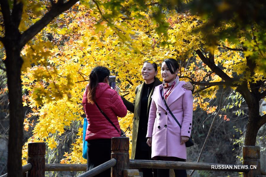 Осенние пейзажи в горах Цзюжушань