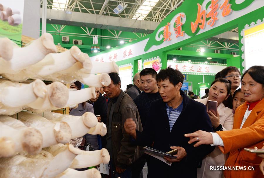 Открылась Янлинская ярмарка достижений высоких и новейших агротехнологий