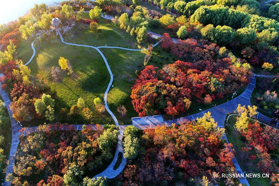 Осенние пейзажи ландшафтного парка Наньху