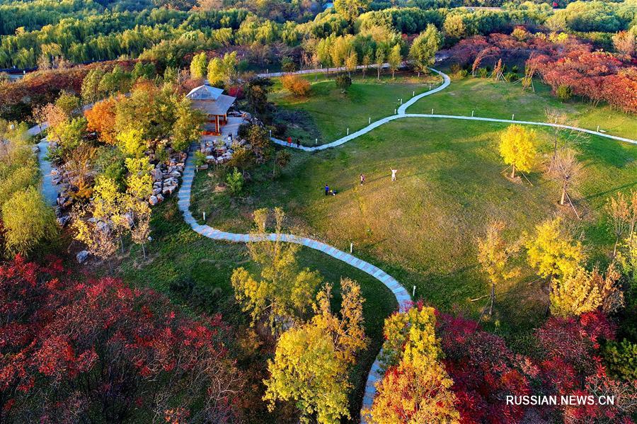Осенние пейзажи ландшафтного парка Наньху