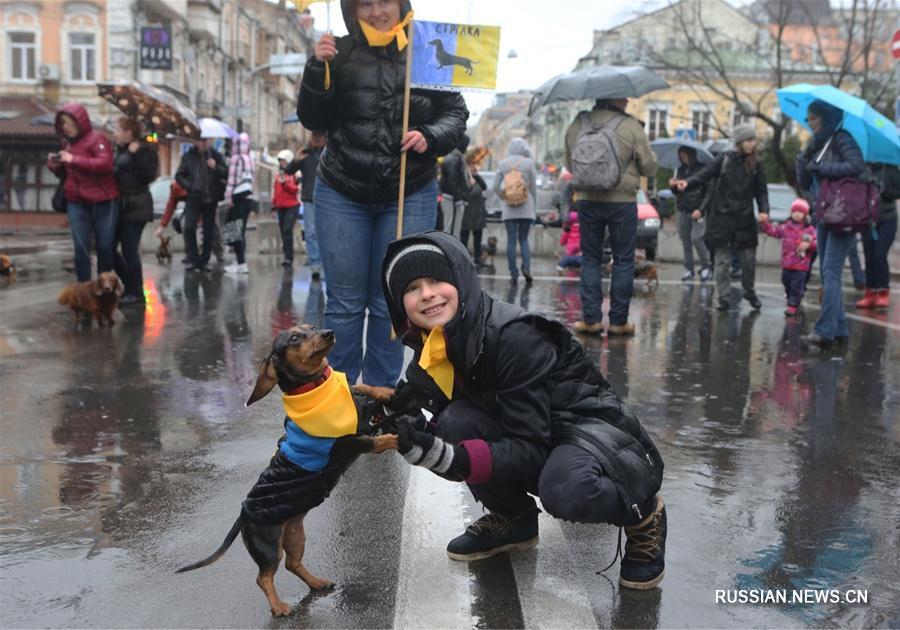 В Киеве прошел первый парад такс