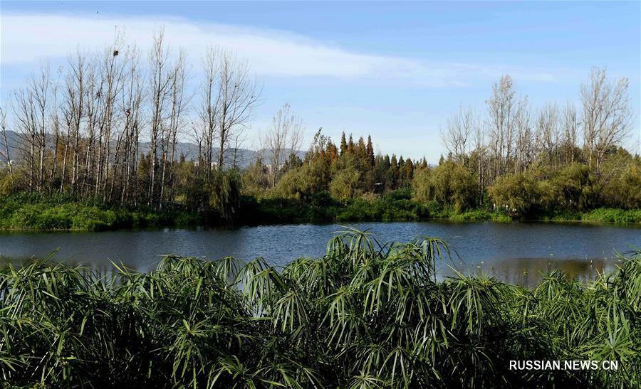 Качество воды в озере Дяньчи на юго-западе Китая улучшилось