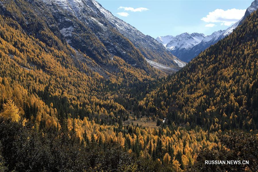 Осенний лес у горы Ялашань
