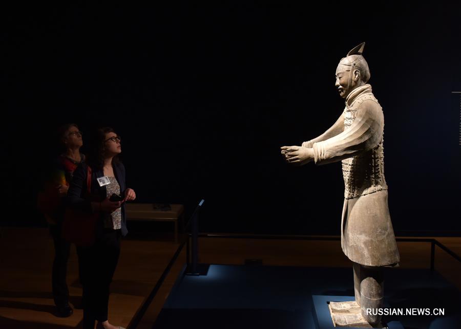 Выставка терракотовых статуй воинов и коней из гробницы Цинь Шихуанди в США