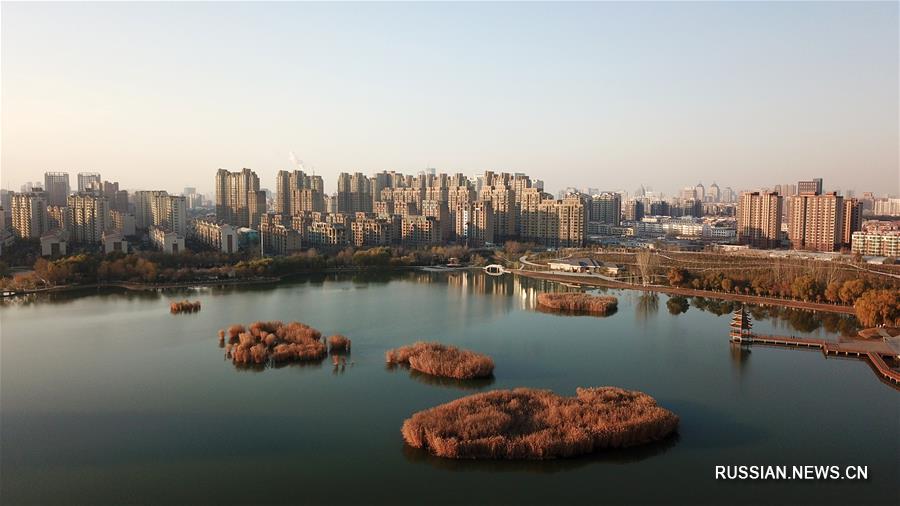 Водно-болотные угодья города Иньчуань на северо-западе Китая