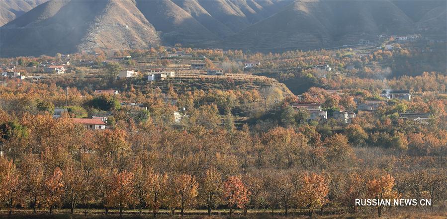 Живописный пейзаж в речной долине Цзиньчуань провинции Сычуань