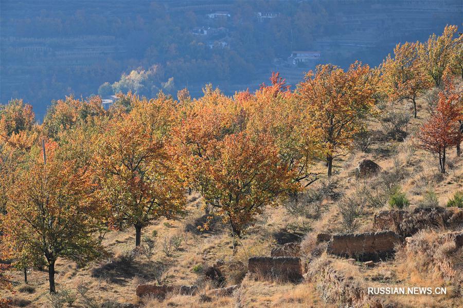 Живописный пейзаж в речной долине Цзиньчуань провинции Сычуань