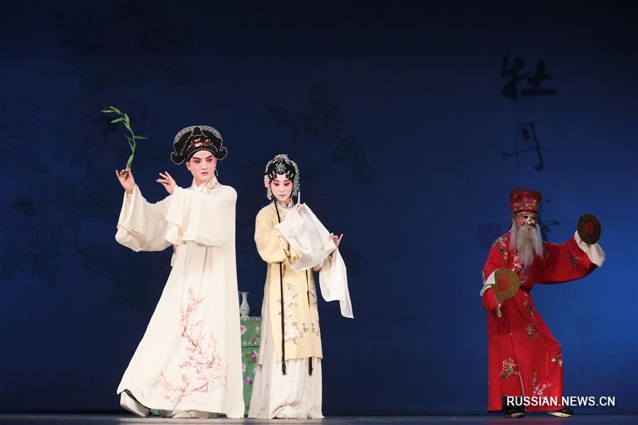 Зрители Санкт-Петербурга увидели китайскую музыкальную драму "Пионовая беседка"