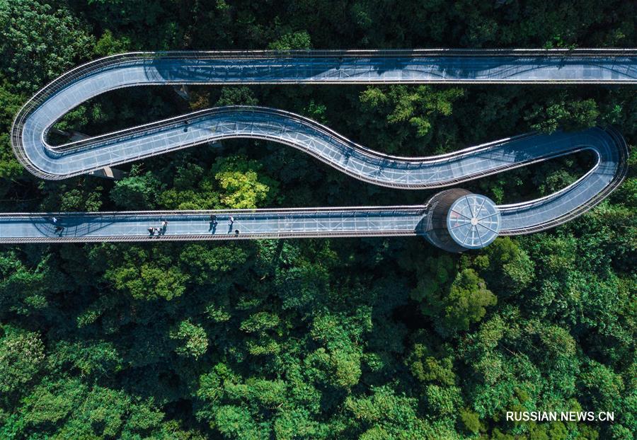 Новая высотная смотровая дорожка через лес вблизи Фучжоу