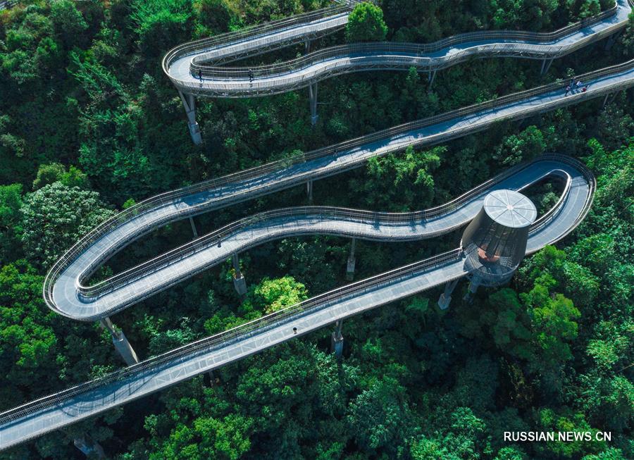 Новая высотная смотровая дорожка через лес вблизи Фучжоу