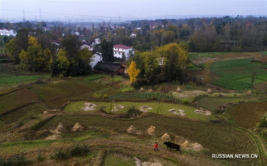 Краски поздней осени в уезде Янсянь