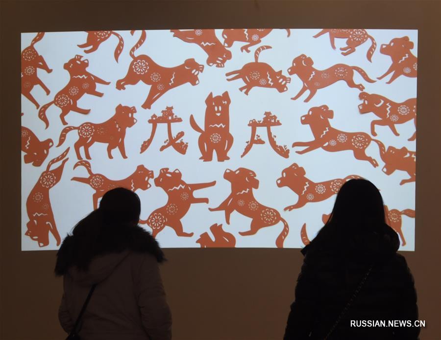 В Пекине открылась выставка дизайнерских работ, посвященных году Собаки