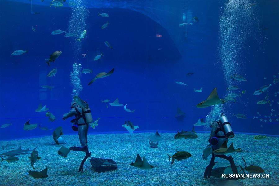 Спецодежда артистов для шоу с акулами и скатами в Приморском океанариуме