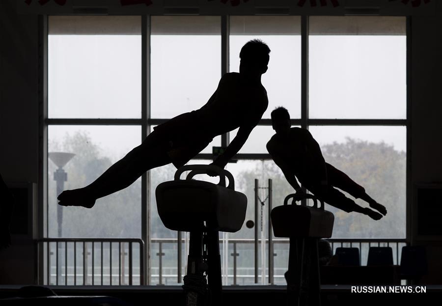 Спортивная гимнастика -- В провинции Хубэй открылся 10-дневный тренировочный лагерь для китайских резервистов