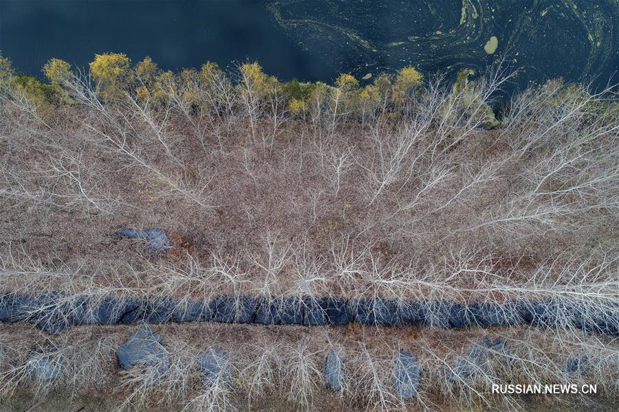Зимние виды парка водно-болотных угодий Хунцзэху