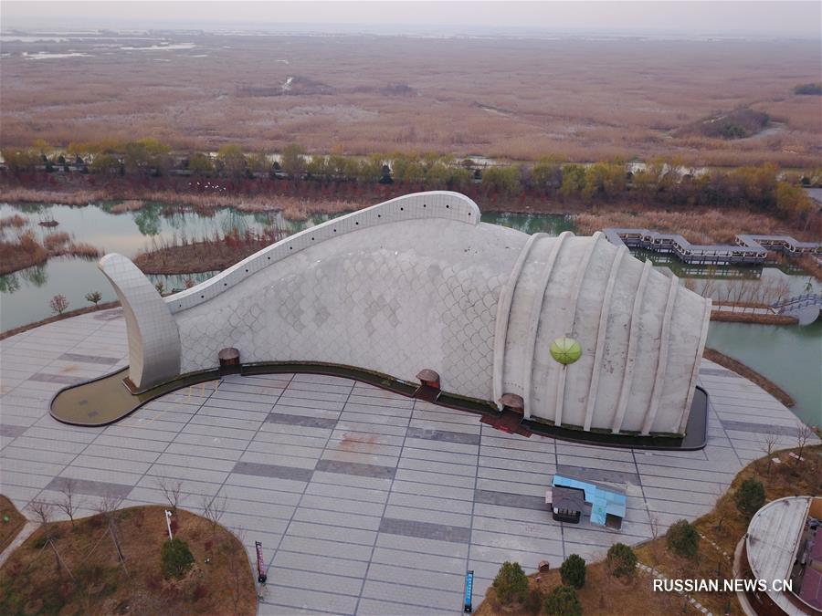 Гигантский аквариум-рыба в парке Хунцзэху