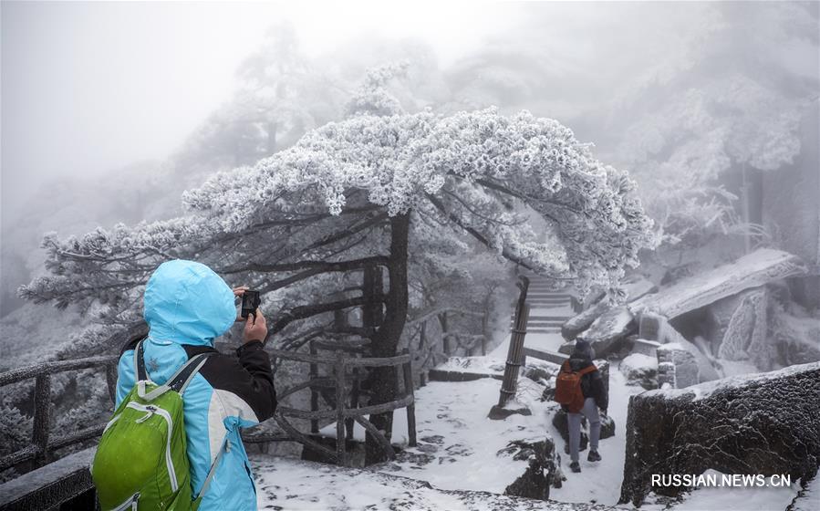 После первого снегопада в горах Хуаншань