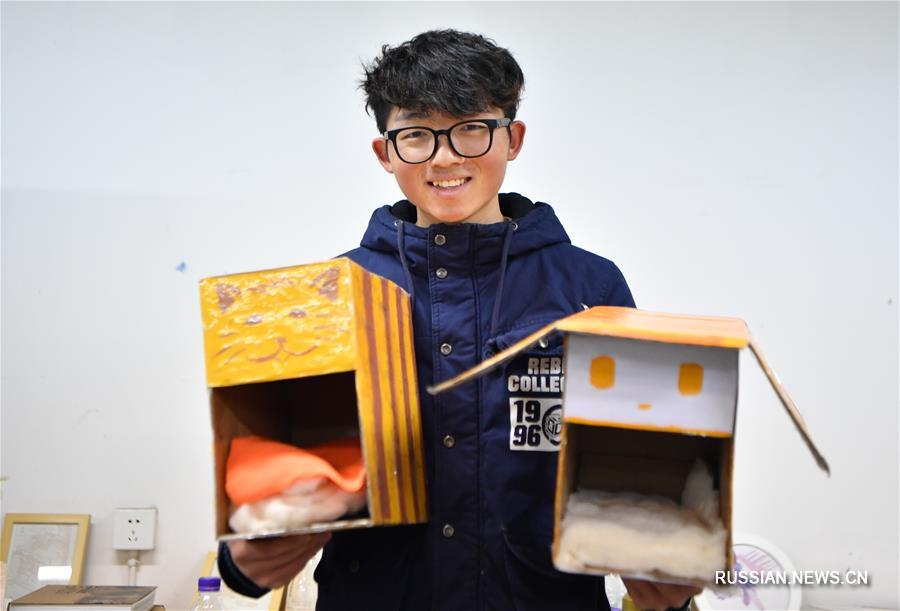 Домики из картона для бродячих животных в провинции Хунань