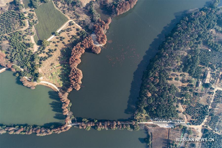 В Ухане скоро откроется второй отрезок "зеленой дорожки" на озере Дунху