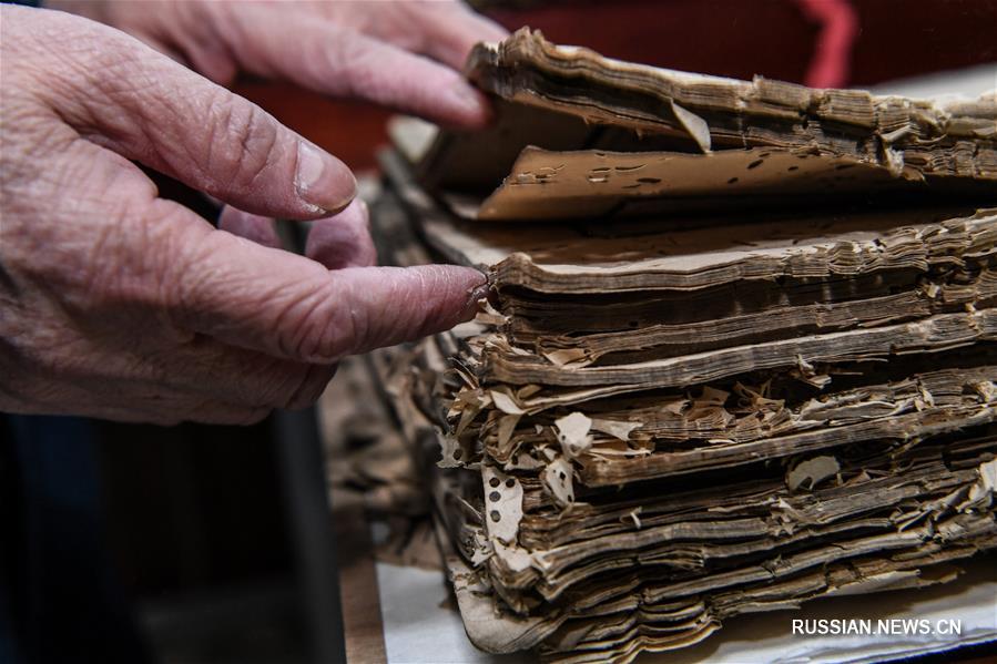 70-летняя Юань Дунцзюэ вернула к жизни более 100 томов древней литературы