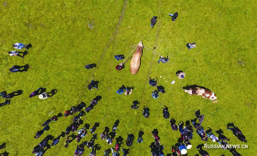 Китай с высоты птичьего полета: лучшие фотографии за 2017 год