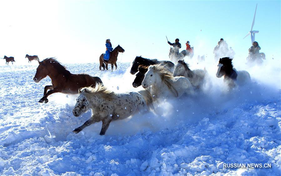Заснеженное пастбище в АР Внутренняя Монголия