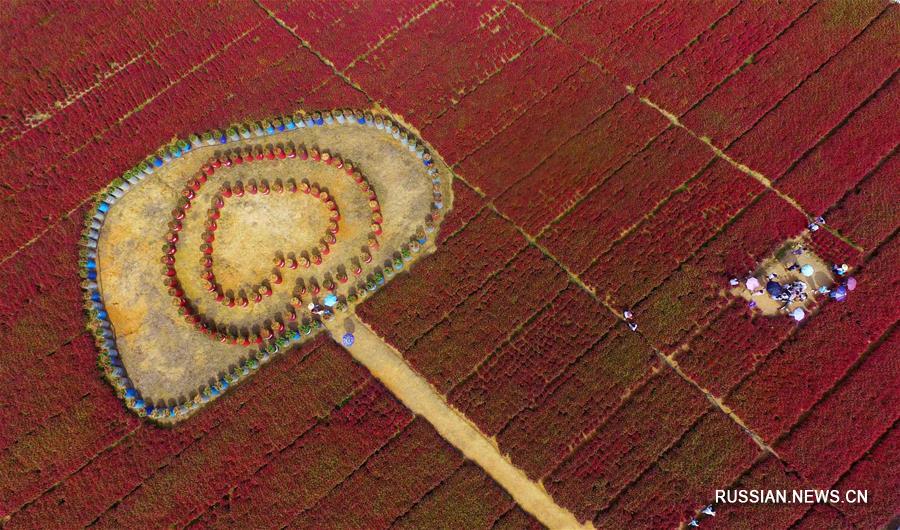 Похорошевшая китайская деревня